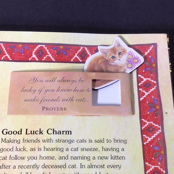 Catopia A Cat Compendium Big book of cat treasures & fun by Anne Mortimer 2007 - Picture 7 of 16